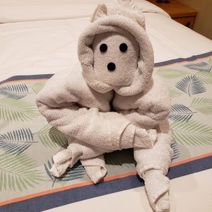 Meet your Posher, Cameron